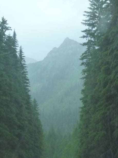 istock Glacier National Park rainy view 1309782466