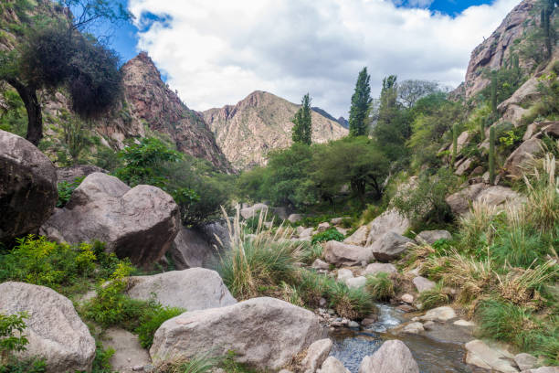 istock Quebrada del Colorado canyon near Cafayate, Argentina 1309784659