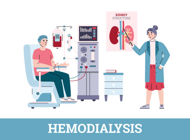 Patient connected to hemodialysis machine and doctor cartoon vector illustration. Patient connected to hemodialysis machine equipment and doctor explaining about kidney failure symptoms and prevention, cartoon vector illustration on white background. dialysis stock illustrations