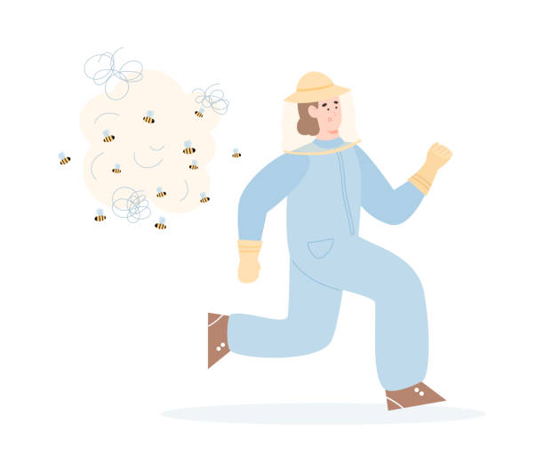 Beekeeper or hiver fleeing from the bees flat vector illustration isolated. Beekeeper or hiver fleeing from the bees, flat vector illustration isolated on white background. Comic cartoon character of unskillful beekeeper or apiarist. hiver stock illustrations