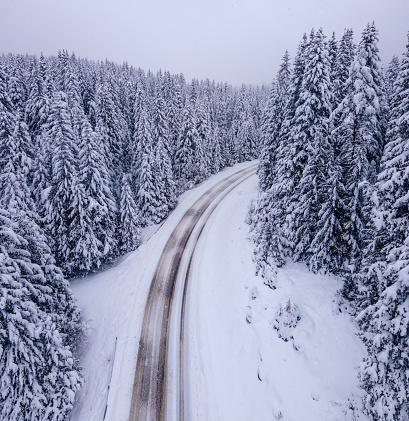 High angle view of a snow-covered road in the mountains with pine woodlands on the sides. The way forward.
