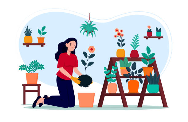 ilustrações de stock, clip art, desenhos animados e ícones de lovely young woman is taking care of home garden - the natural world plant attribute natural phenomenon mineral