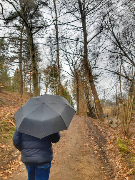 istock a man walking in the forest with an umbrella 1309791741