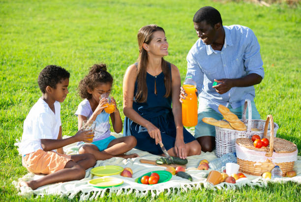 istock Family enjoying picnic 1309792771
