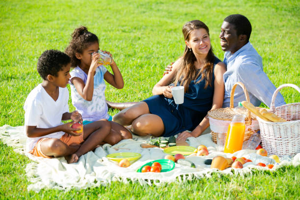 istock Parents with daughter and son at picnic 1309792787