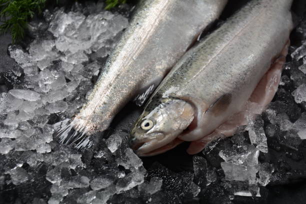 istock Fresh trout on dark table with lemon, pepper and dill. 1309792838