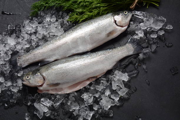 istock Fresh trout on dark table with lemon, pepper and dill. 1309792862