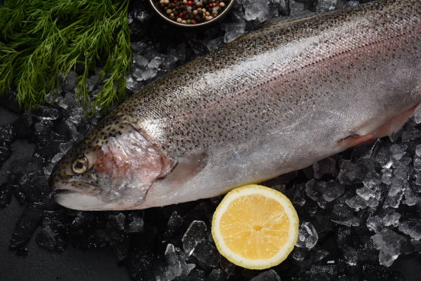 istock Fresh trout on dark table with lemon, pepper and dill. 1309792884