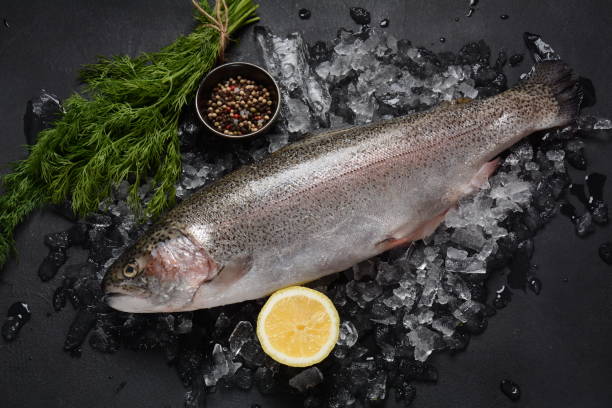 istock Fresh trout on dark table with lemon, pepper and dill. 1309792892