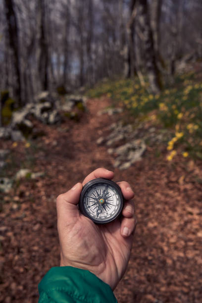 istock Hand of person holding compass in the forest 1309794624