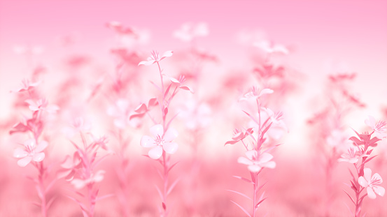 3d rendering of Flower Nature Background.