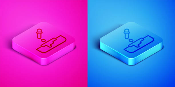 ilustrações de stock, clip art, desenhos animados e ícones de isometric line petri dish with pipette icon isolated on pink and blue background. square button. vector - petri dish cell bacterium biology