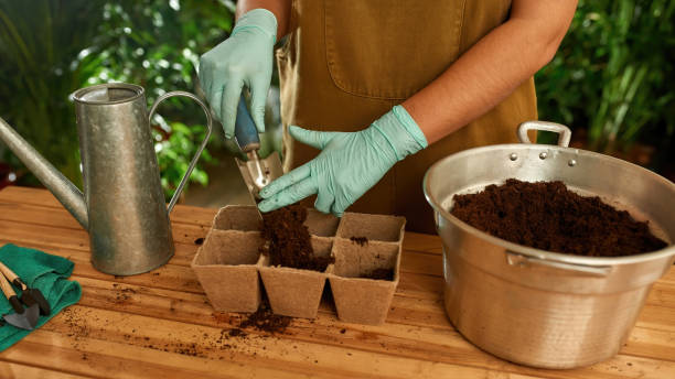 istock Gardener preparing the soil for planting 1309802143