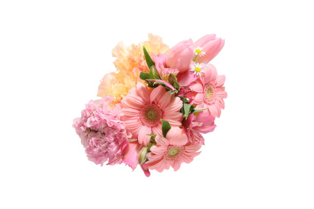 various kind of flowers in a white background