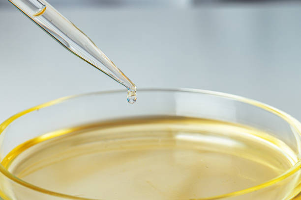 istock Petri dish and pipette with dropping liquid close up 1309805374