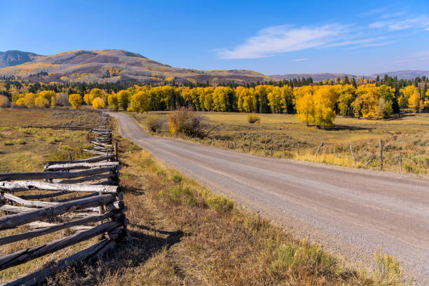 Autumn Country Road - A wide-angle Autumn view of a country road, part of Owl Creek Pass Road, running through rolling ranch land and colorful forest. Ridgway, Colorado, USA. A wide-angle Autumn view of a country road, part of Owl Creek Pass Road, running through rolling ranch land and colorful forest. Ridgway, Colorado, USA. ridgway stock pictures, royalty-free photos & images