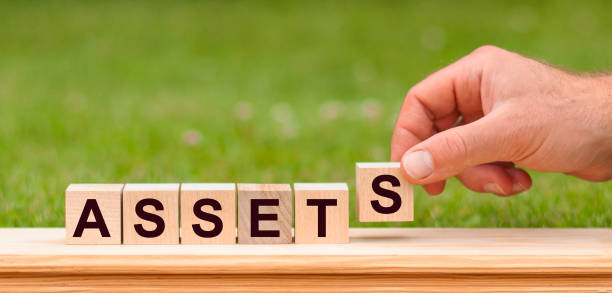 istock word assets written with wooden blocks, concept 1309807494