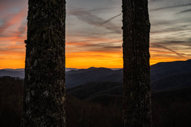 закат между двумя деревьями - great smoky mountains flash стоковые фото и изображения