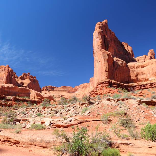 istock United States nature 1309809214