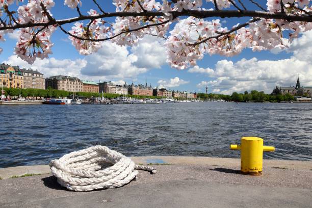 Stockholm Stockholm, Sweden. Strandvagen part of capital city with Djurgarden visible on the right. Spring time cherry blossoms. djurgarden photos stock pictures, royalty-free photos & images