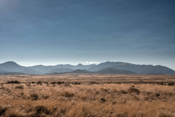 istock Vast Brown Field Below Layers of Great Basin's Mountains 1309809603
