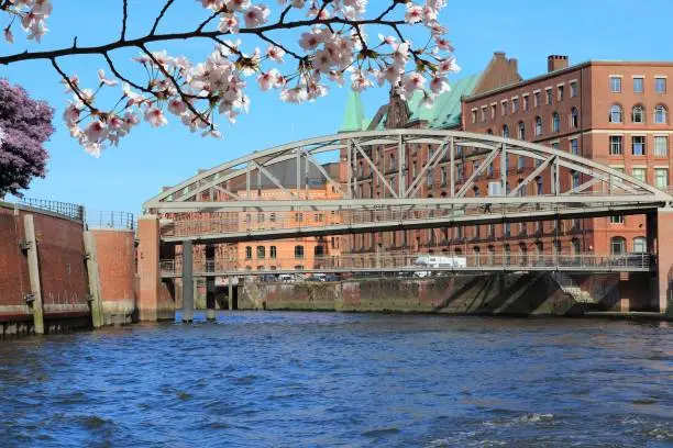 Hamburg city, Germany - Speicherstadt (Warehouse District). Old harbor warehouses. Spring time cherry blossoms.
