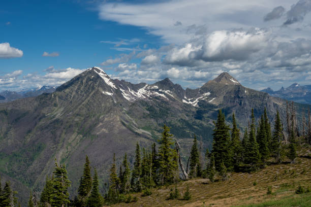 istock View from Mt Brown Lookout Tower in Glacier 1309809626