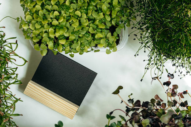 Micro green and black price tag with copy space