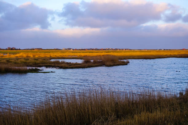 istock Sewer in Morning Light North Sea Coast 1309811562