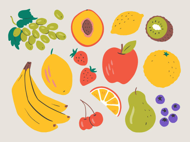 ilustraciones, imágenes clip art, dibujos animados e iconos de stock de ilustración de fruta fresca — elementos vectoriales dibujados a mano - apple