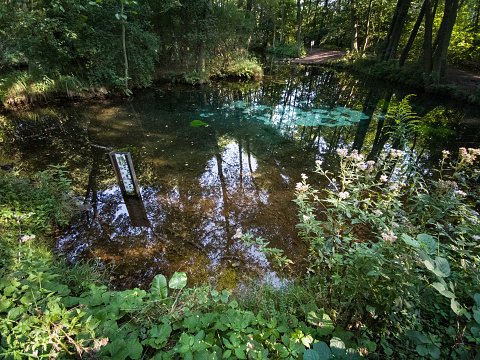 Blue ponds on Pilica River in Tomaszow Mazowiecki City