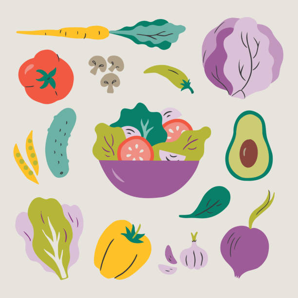 ilustrações de stock, clip art, desenhos animados e ícones de illustration of salad and fresh ingredients — hand-drawn vector elements - white background freshness spinach vegetable