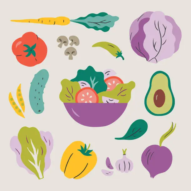 Vector illustration of Illustration of salad and fresh ingredients — hand-drawn vector elements