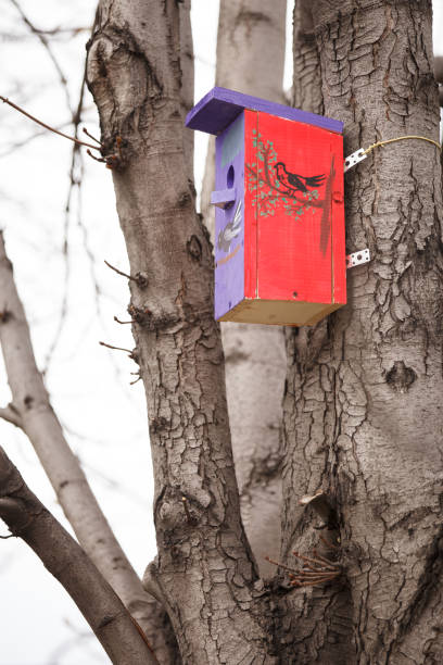istock Handmade birdhouse attached to a tree. A painted empty birdhouse is waiting for its occupants. 1309816528