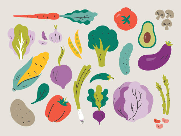 illustrations, cliparts, dessins animés et icônes de illustration des légumes frais — éléments vectoriels dessinés à la main - potager