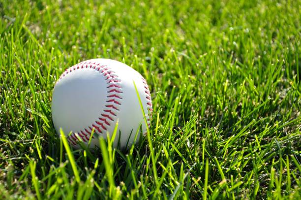 Sunny baseball A classic american summer feel with a baseball in the grass on a warm sunny day. spring training stock pictures, royalty-free photos & images