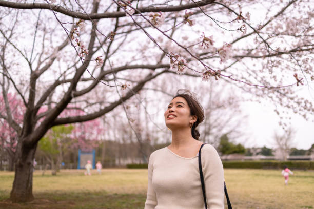 istock Young woman looking at cherry blossoms in public park 1309821862