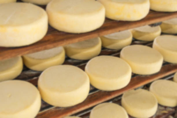 istock Blurred background of rounded cheese on storage shelves 1309823473