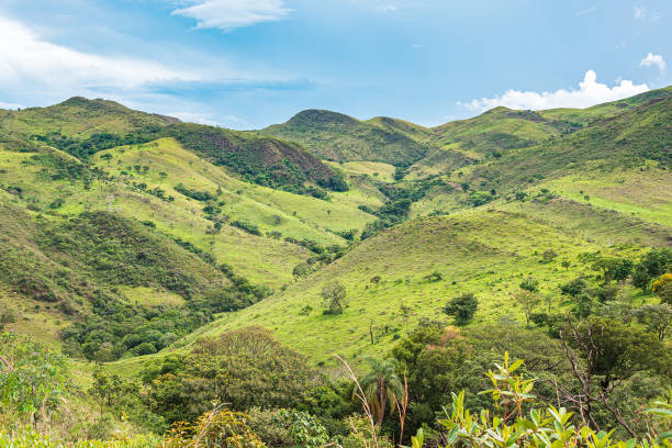 Landscape of a hill with vibrant green vegetation on a beautiful day. Landscape of a hill with vibrant green vegetation on a beautiful day. Mountainous terrain with reliefs. Nature of Minas Gerais state at São Roque de Minas, MG, Brazil. sierra stock pictures, royalty-free photos & images