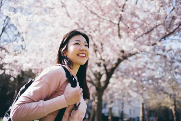 Asian young cheerful woman looking up to the sky in front of full blossomed cherry tree in the park.