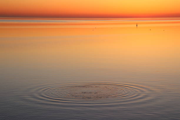 istock Right before the sunrise on the lake 1309830431