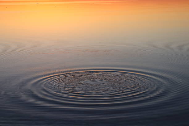 istock Right before the sunrise on the lake 1309830458
