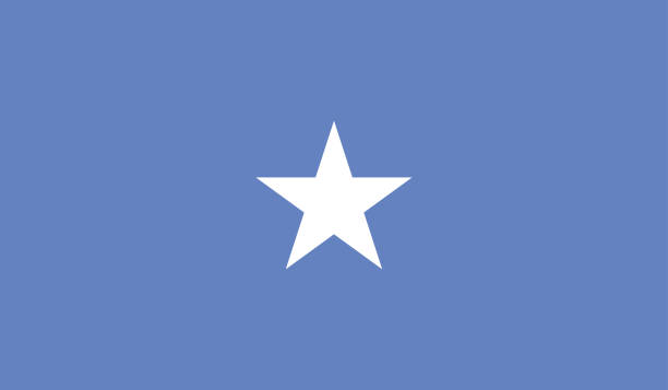 Highly Detailed Flag Of Somalia - Somalia Flag High Detail - National flag Somalia - Large size flag jpeg image - Highly Detailed Flag Of Somalia - Somalia Flag High Detail - National flag Somalia - Large size flag jpeg image - Somalia, Mogadishu somali ostrich stock pictures, royalty-free photos & images