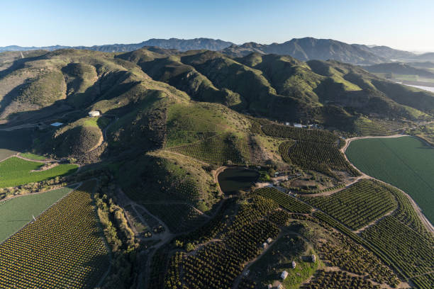 istock Camarillo California Farm Fields and Groves Aerial 1309832910