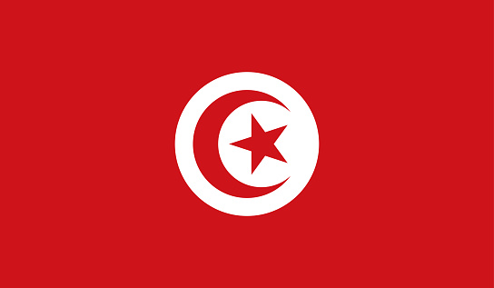 Highly Detailed Flag Of Tunisia - Tunisia Flag High Detail - National flag Tunisia - Large size flag jpeg image - Tunisia