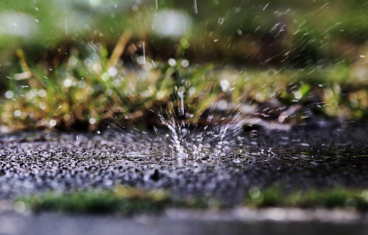In heavy rain, large drops fall splashing on the ground