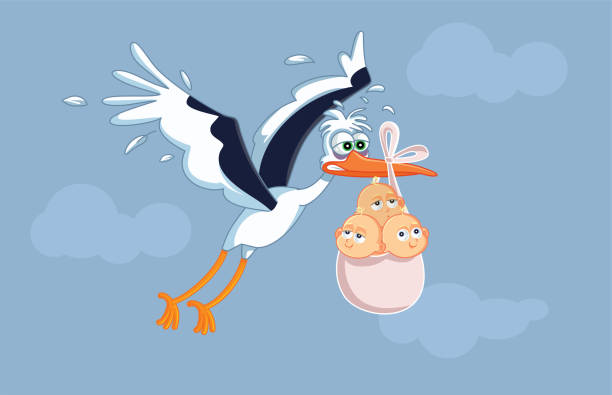 Funny Exhausted Stork Carrying Triplets Vector Cartoon Baby announcement greeting card design Babies Only stock illustrations