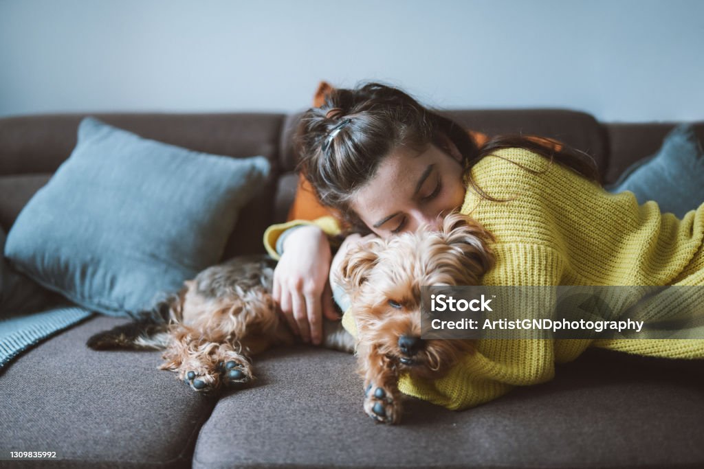 Giving him a home of love. A shot of a young woman hugging lovely her little dog while lying down on the sofa in her living room. Dog Stock Photo