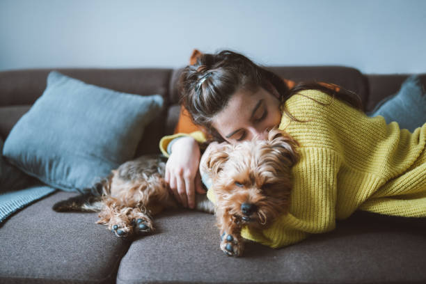 Giving him a home of love. A shot of a young woman hugging lovely her little dog while lying down on the sofa in her living room. hairy puppy stock pictures, royalty-free photos & images