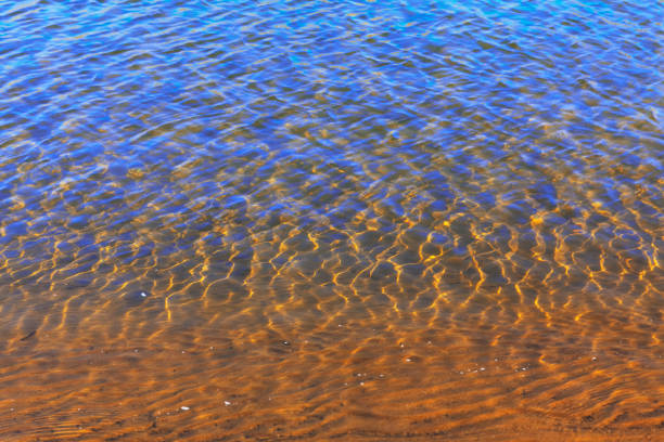 istock Ripples on the transparent river water 1309842188